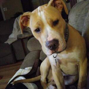 Fundraising Page: Seamus Camp